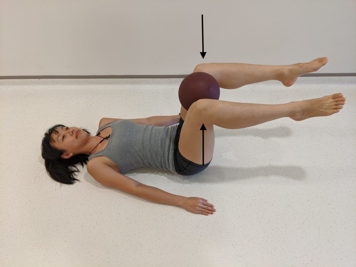 The simulation of isometric contraction of the isolated hip adductor